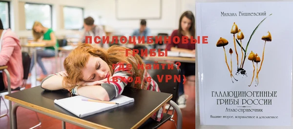 индика Алзамай
