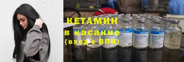 индика Алзамай