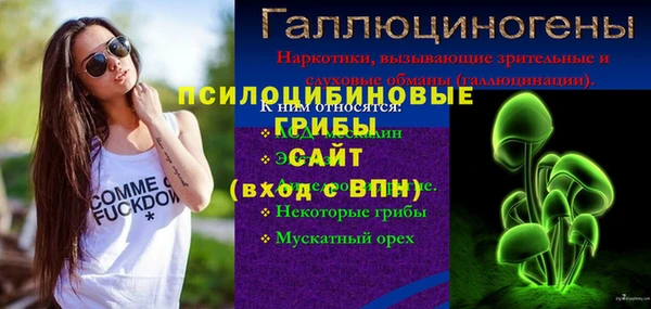 прущая мука Надым